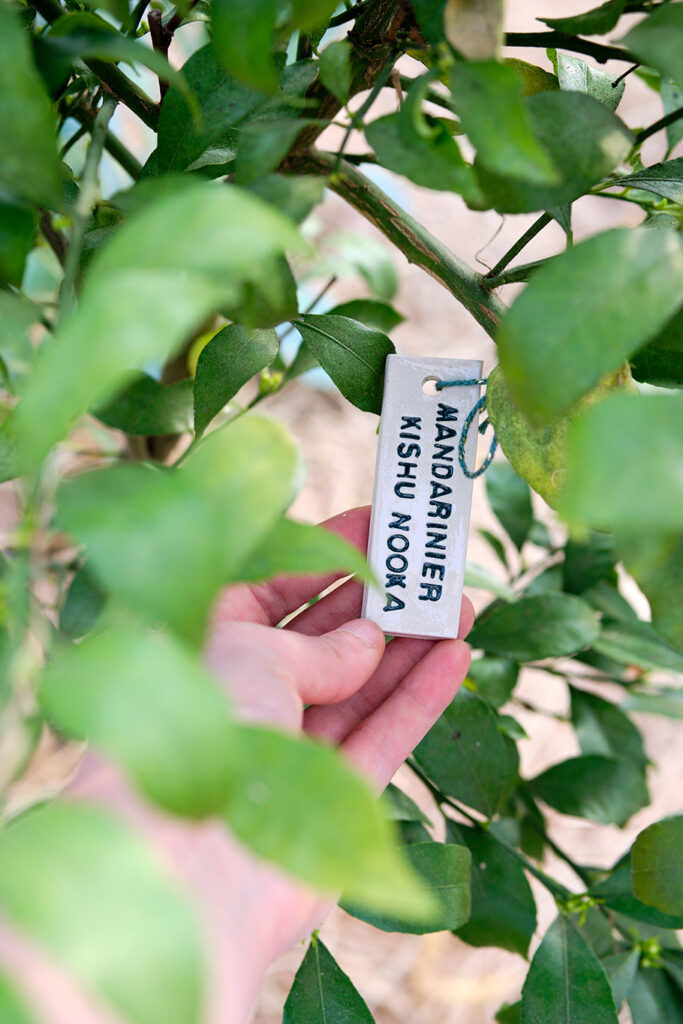 étiquettes en céramique pour le  jardins - Atelier Kiwano